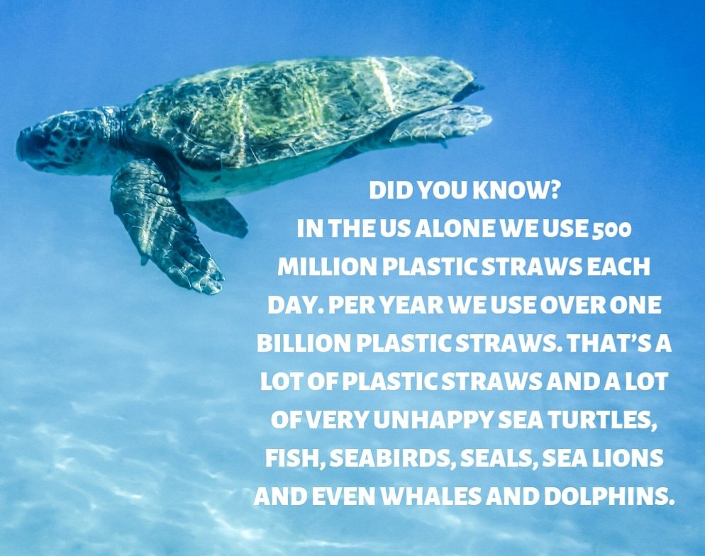 Seaturtlepsc tweet picture