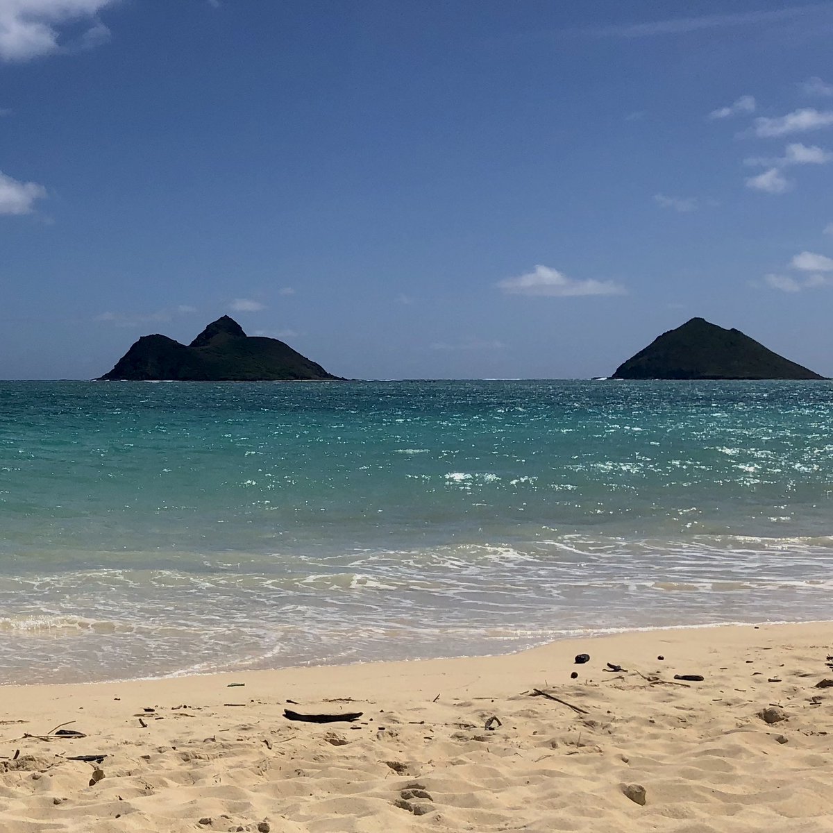 In sun-struck Oahu this week, recording every Honeycreeper warble, white-sand surf crash, and jungle downpour with—you guessed it—8ball! Keep watch for a very special release in the coming weeks 🌊😎🐦