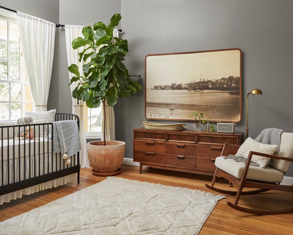 magnolia nursery collection