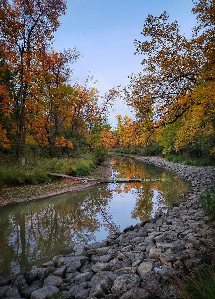 Shannon%20Bileski☈%20on%20Twitter:%20&quot;A%20beautiful%20fall%20evening%20in%20#Winnipeg,%20%20#Manitoba!%20My%20second%20favorite%20season,%20where%20colours%20pop%20and%20bugs%20go%20to%20%20sleep!%20#galaxys9plus%20#fall%20#Autumn…%20https://t.co/9efHYZg5HC&quot;