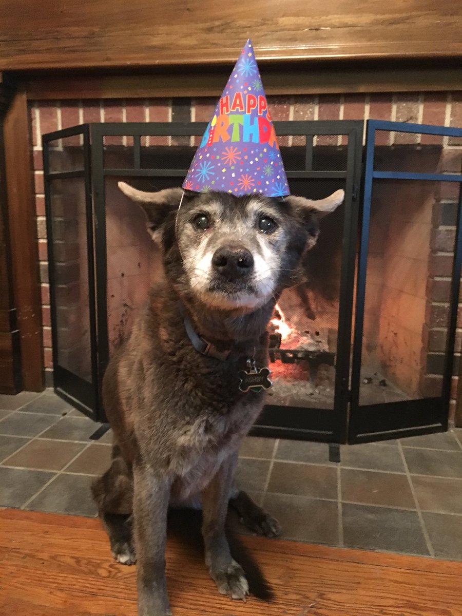 jmeadows98's tweet photo. happy first birthday in heaven ash❤️ we miss you so much down here https://t.co/QRZIVCVCEA