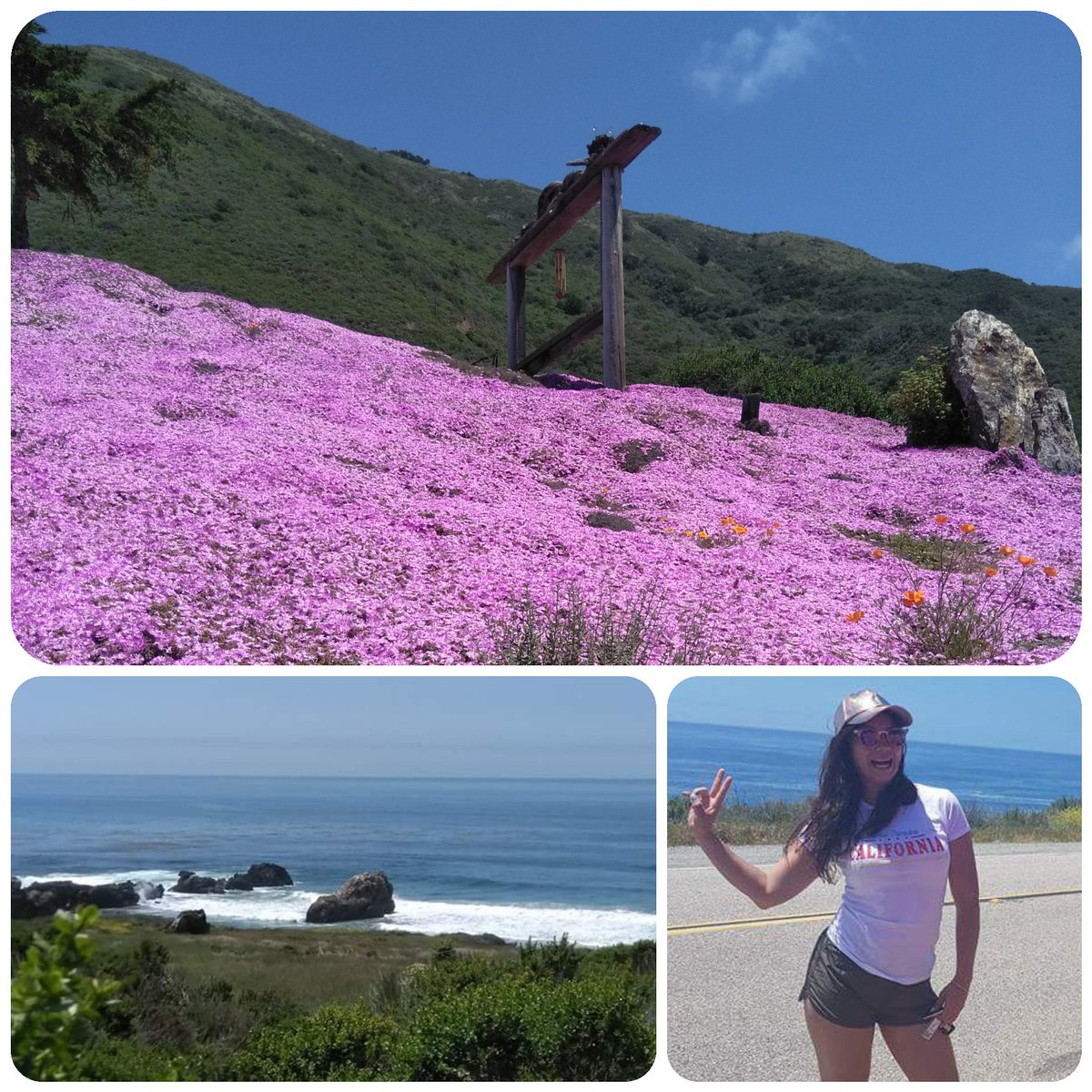 RadkaHola's tweet photo. #road1 #westcoast #California #roadTrip https://t.co/hP7Uies5iM