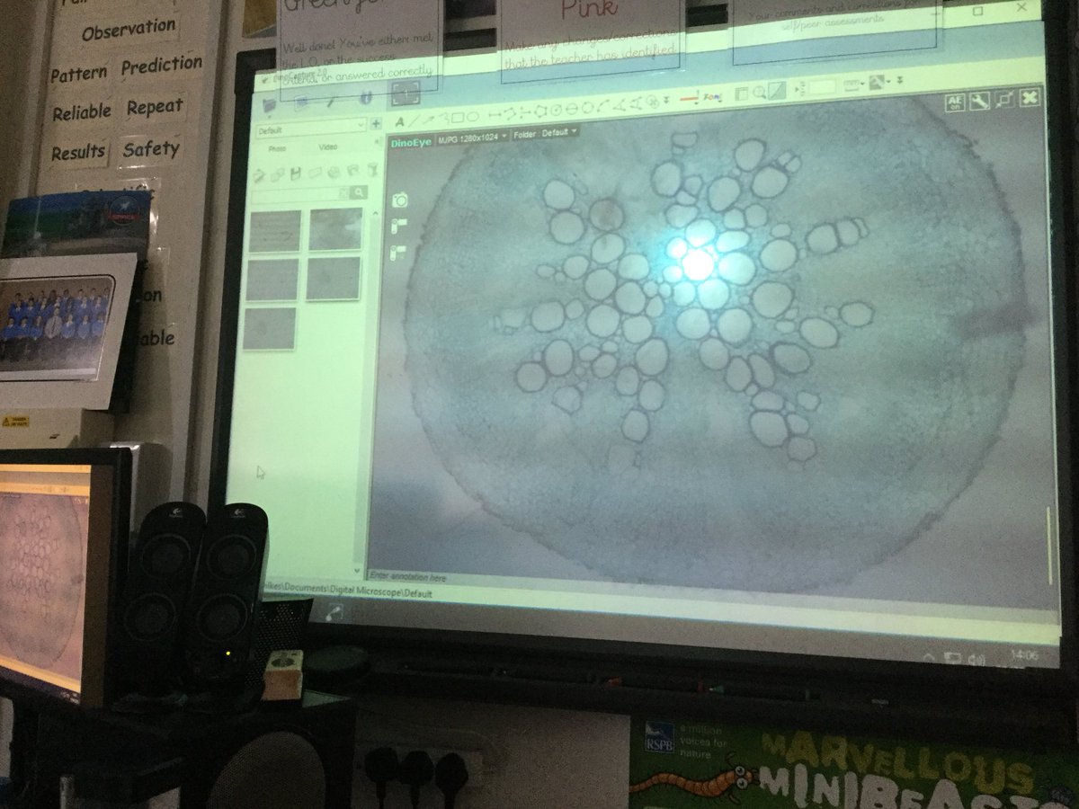 Science@BMS tweet media