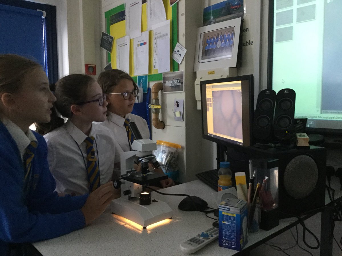 Science@BMS tweet media