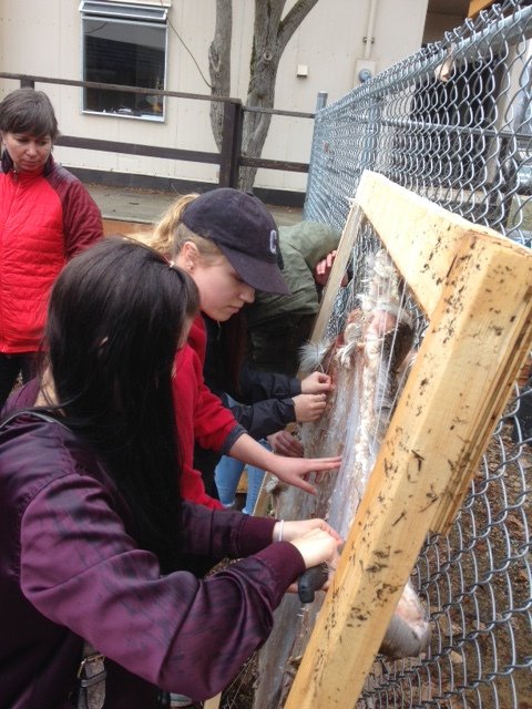 Indigenous Enhancement Services shsscastlegar.com/2018/09/18/ind…