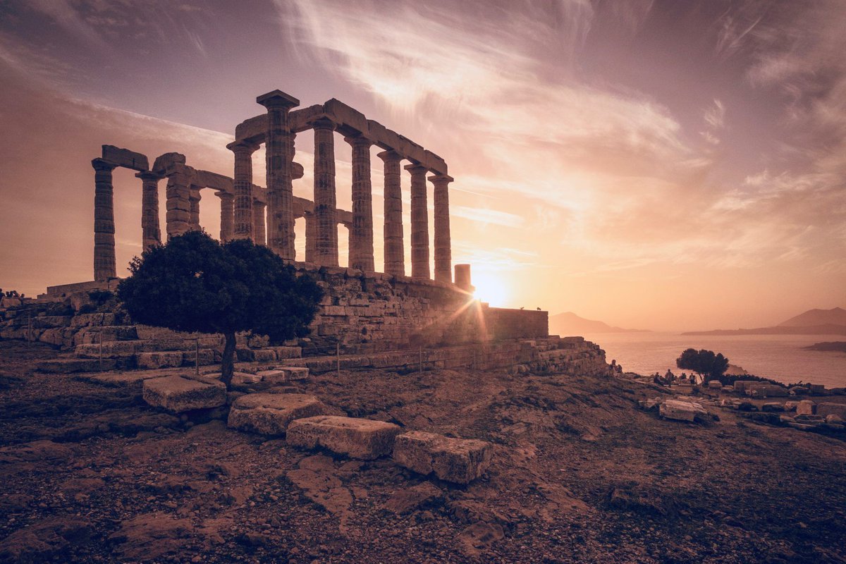 Society Rebel tweet media