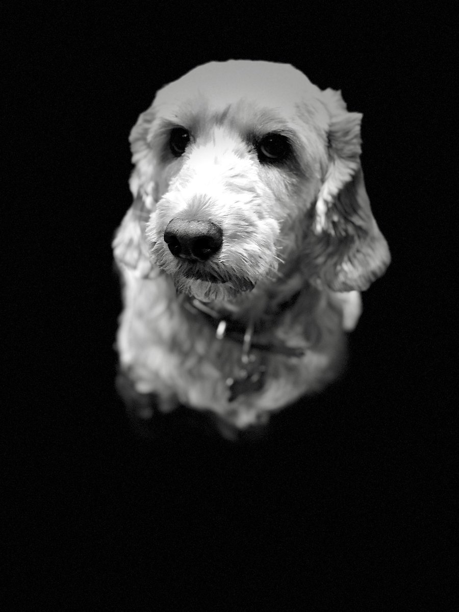 Ted Dale tweet media