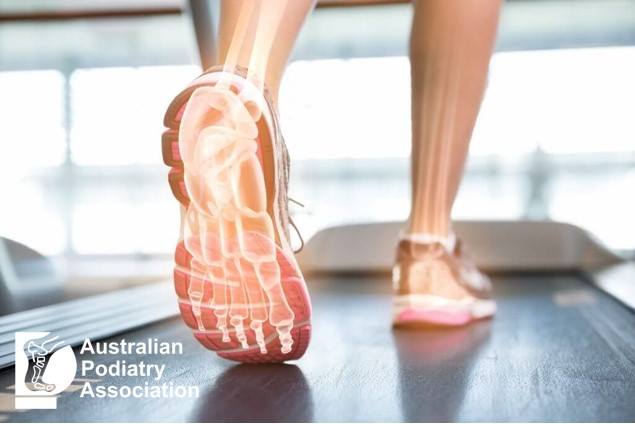 APodA_National's tweet photo. #NSW #podiatrists! Don't forget to book your spot for Craig Payne's popular #biomechanics workshop on 29 September - only next week -  it's not to be missed! Book here https://t.co/4IDzUTWr15 https://t.co/8Tmy7Zyqrl
