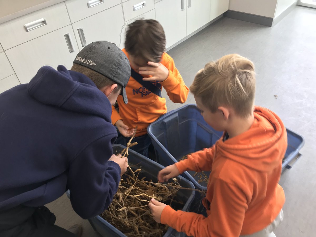 Dewy_AgTraits's tweet photo. Glad to participate in #Agintheclass thanks to @Richardson_Farm for hosting https://t.co/BULuO3c7aw