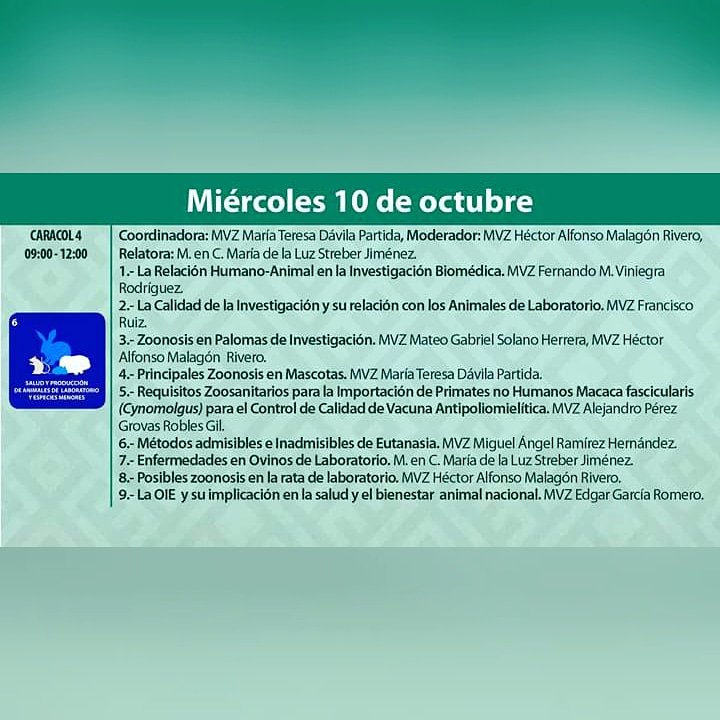 conasamexico's tweet photo. Rumbo al #CONASA26, les presentamos el Programa Técnico del Comité de #SaludYProducción de #AnimalesDeLaboratorioYEspeciesMenores
Su mesa de trabajo es el día Miércoles 10 de octubre en el salón Caracol 4 de 09:00 a 12:00 hrs. https://t.co/7ybT4lmzFD