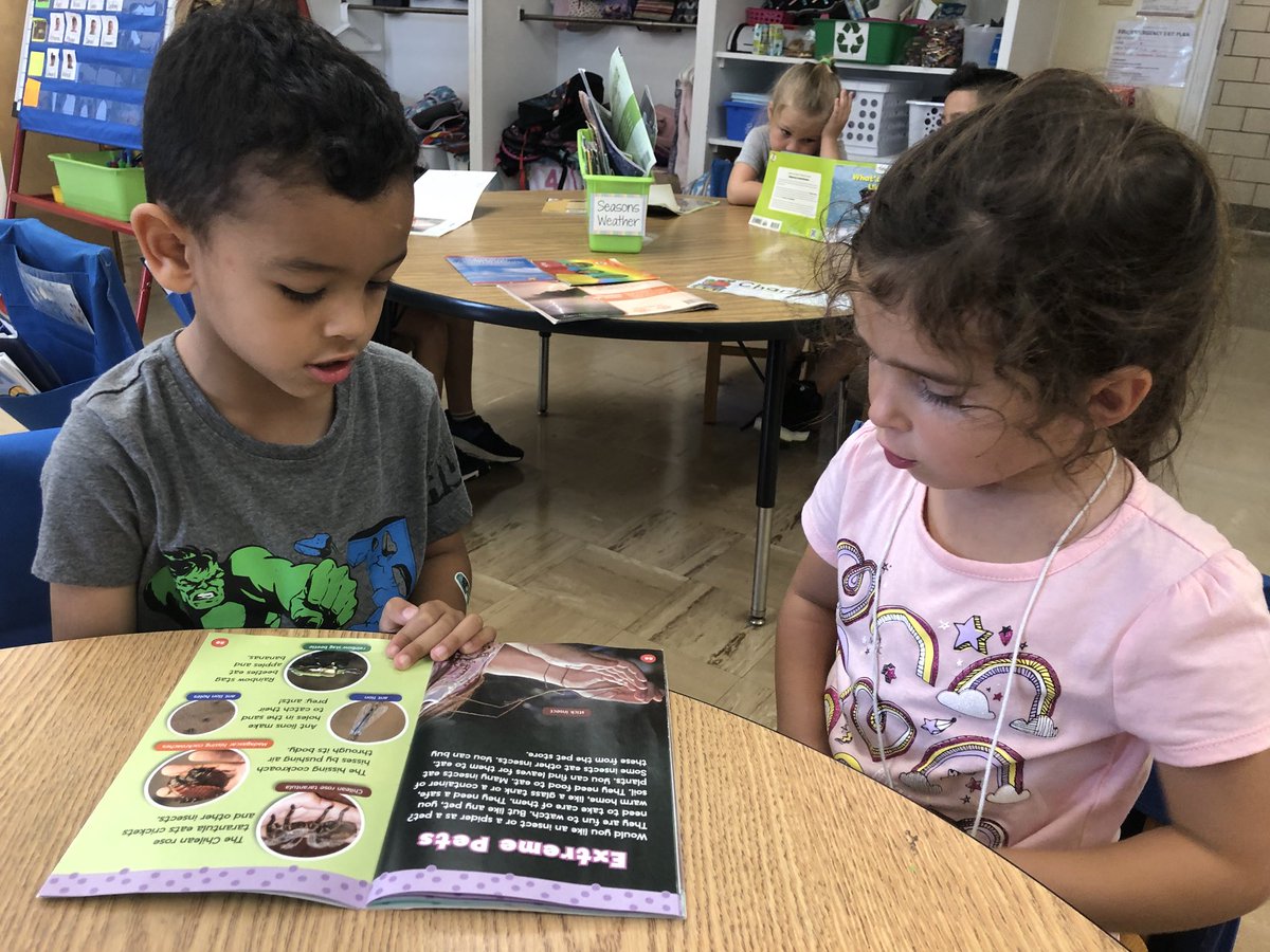 msgrillo1's tweet photo. We’re learning how to read privately and with a partner during reader’s workshop! 📚 @TCRWP #wearereaders #msgrilloWOS https://t.co/XXuAl2bgNQ