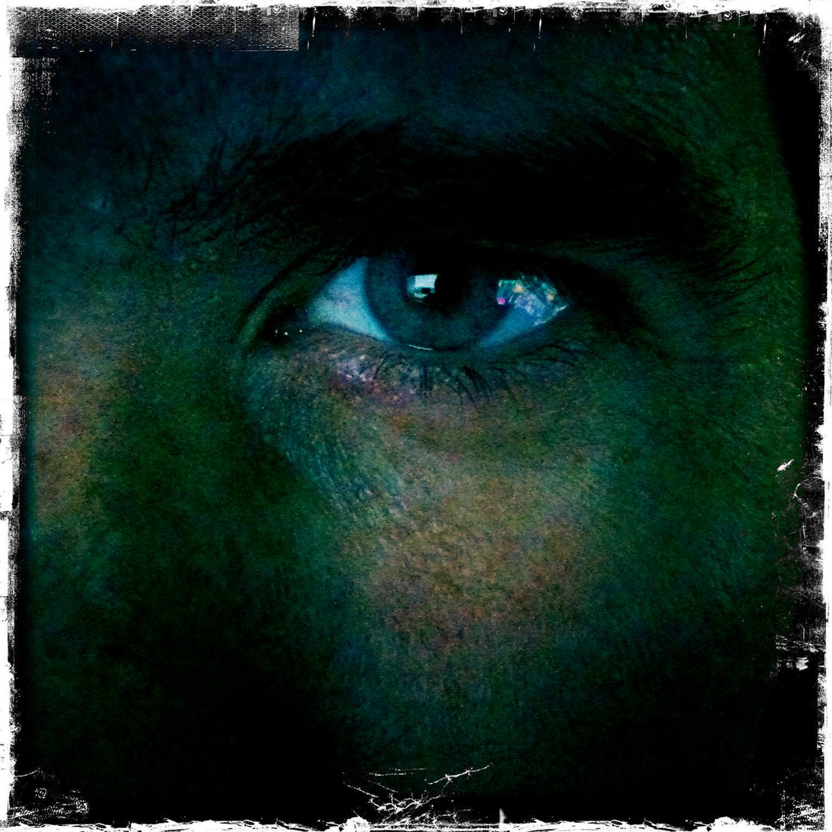 CKarr7's tweet image. “The best time to plant a tree was 25 years ago. The second-best time to plant a tree is today.” -Eliud Kipchoge