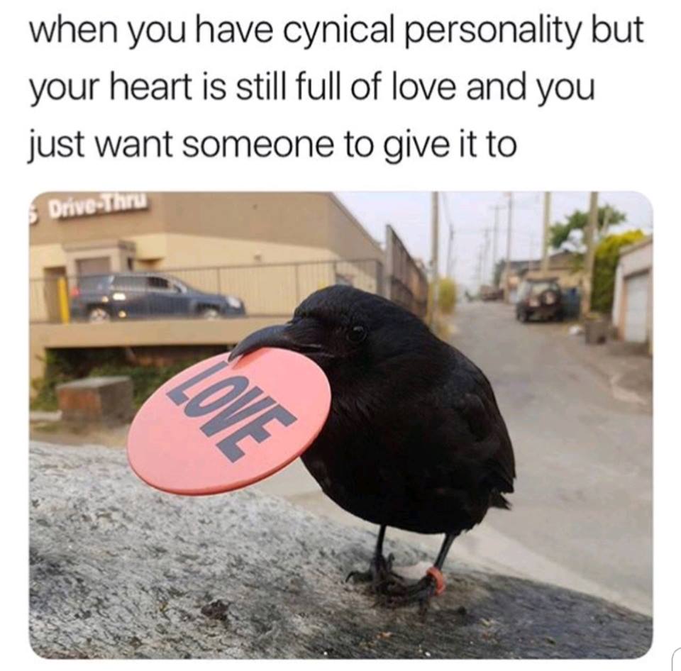 HLHPattison's tweet photo. I am represented in all things by @canuckthecrow https://t.co/vSmCW0mw83