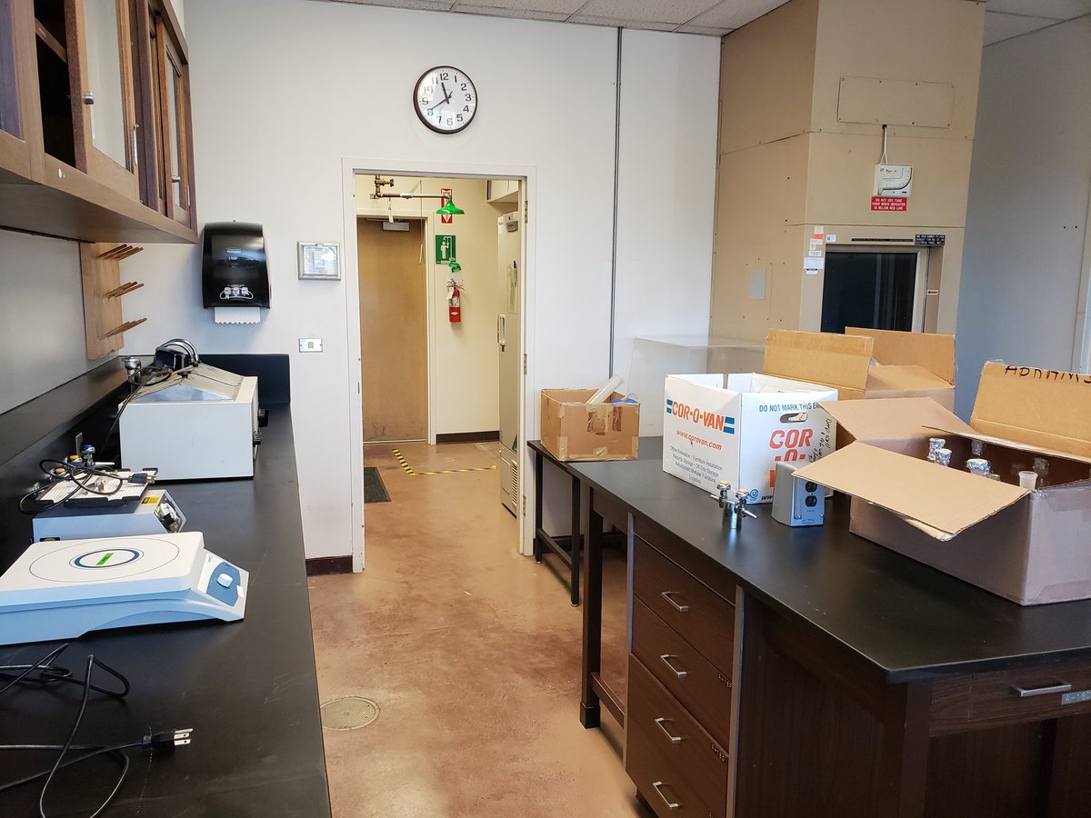 fkhuynh's tweet photo. The #Huynhlab @SJSU officially has stuff...and a hashtag! Thanks to the @biolinkdepot for providing all the free equipment. Check out and subscribe to their YouTube channel here: https://t.co/97F1afffKG https://t.co/3d3TmP2FxG