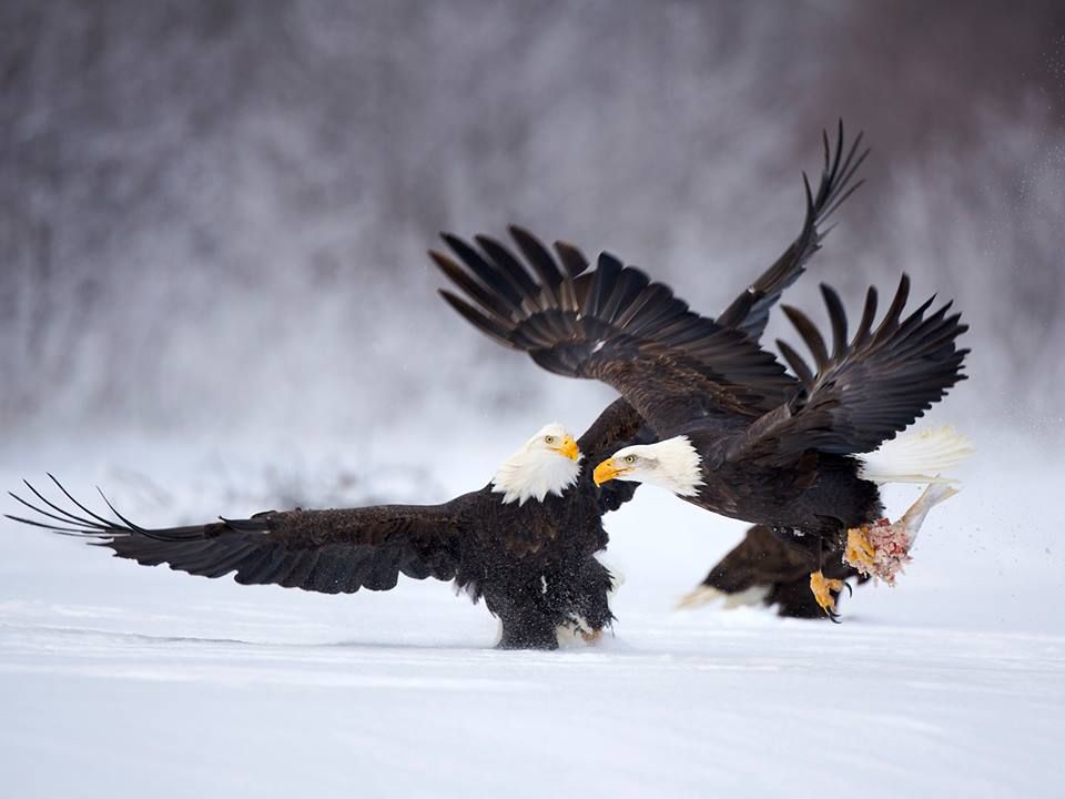 INTERNET_GOD_'s tweet image. FilipeSaMoura.com

#SunKuWriter 
SunKuWriter.com

4 Free Books 27 lang. Audio/Text/PDF

FilipeMoura.com #SunKuWriter

The Word World Warrior - Sun-Ku.com

facebook.com/SunKuWriter



instagram.com/SunKuWriter