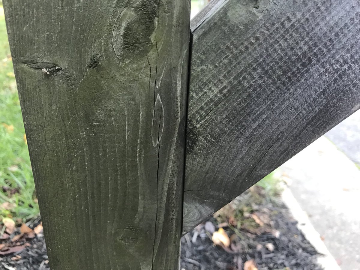 koakley9's tweet photo. Update on ant infestation in mailbox: Not even 12 hours later and the ants licked it clean! See some before and after photos below. #AdvionAnt #NoCleanupNecessary #HastaLaVistaBabies #Suckers https://t.co/c7D6vIVprS