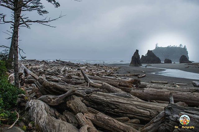 VanLifePhoto's tweet photo. Ruby Beach
#photography #vanlife #camera #travel #photo #wanderlust #art #nofilter #vanlifephotography https://t.co/E36uHAJzGP https://t.co/1MS3w7KDHy