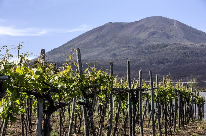 TripTravelTrs's tweet image. Authentic Neapolitan Food&amp;amp;Wine Tasting in a Typical Estate
From USD: 63.77

Merge yourself in a typical Italian atmosphere by visiting an authentic winery at the bottom of the Mount Vesuvius..

Book now: partner.viator.com/en/67091/tours…
#Trecase #Italy