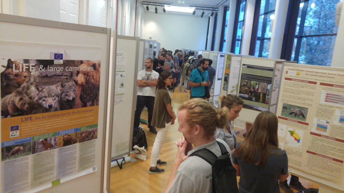 amymacbiologist's tweet photo. Day4 for me was Day2 of conf with speakers talking about various #bear species movement, #feeding habits, and responses to #climatechange. We had #student lunch with Council members, market with #bearfriendly items, and evening poster session. #26thIBAconference #lifewithbears https://t.co/xM1Zbp6Zp9