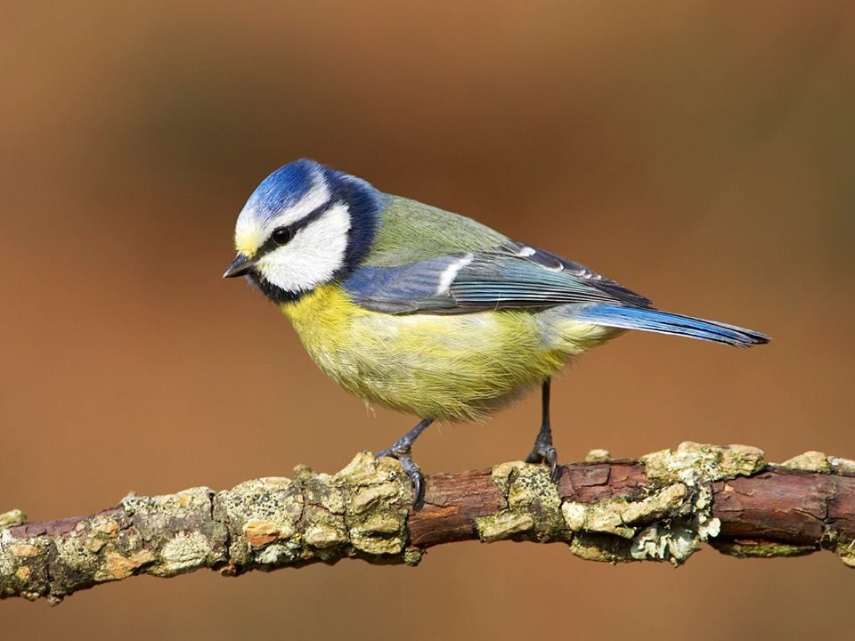 INTERNET_GOD_'s tweet image. #SunKuWriter 
SunKuWriter.com