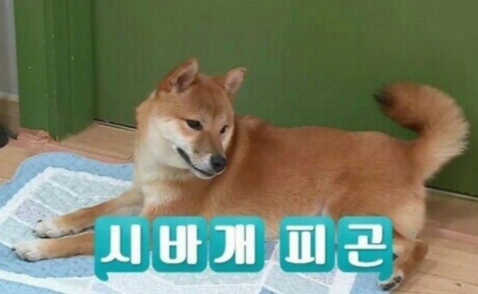 피곤하다.
근데 아직 수요일이다.
퇴사해
