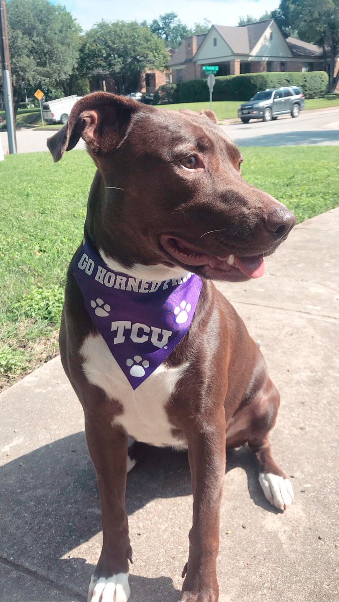 Devin Ward tweet media