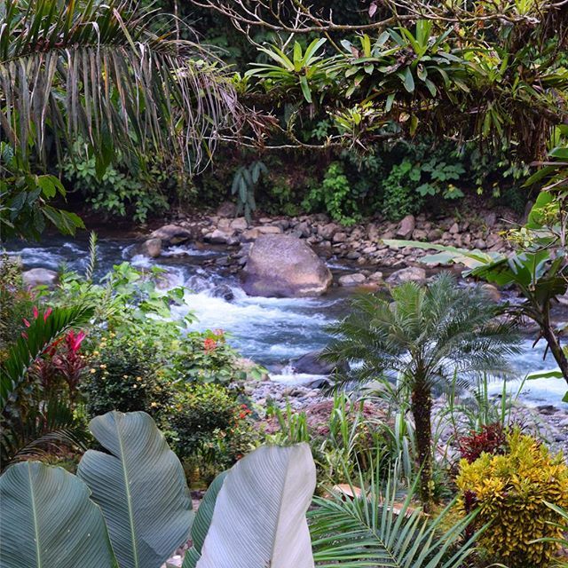 lifebysteve's tweet photo. I sure do miss Costa Rica. #puravida https://t.co/wZwTUlvfcV https://t.co/CVzKWyEYZ1
