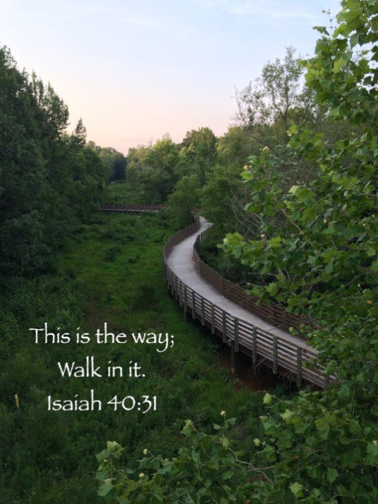 trinitysfaith's tweet image. What He opens no one will shut and what He shuts no one will open. Jesus Christ~(Revelation 3:7) What Jesus has for you is Greater! Praise God and press on! ❤️✝️🇺🇸