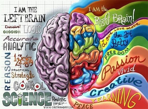 AtomicTrmpoline's tweet photo. Are you left sided or right sided?
#Brain #AtomicTrampoline #Interesting https://t.co/Pn83n4uWxx