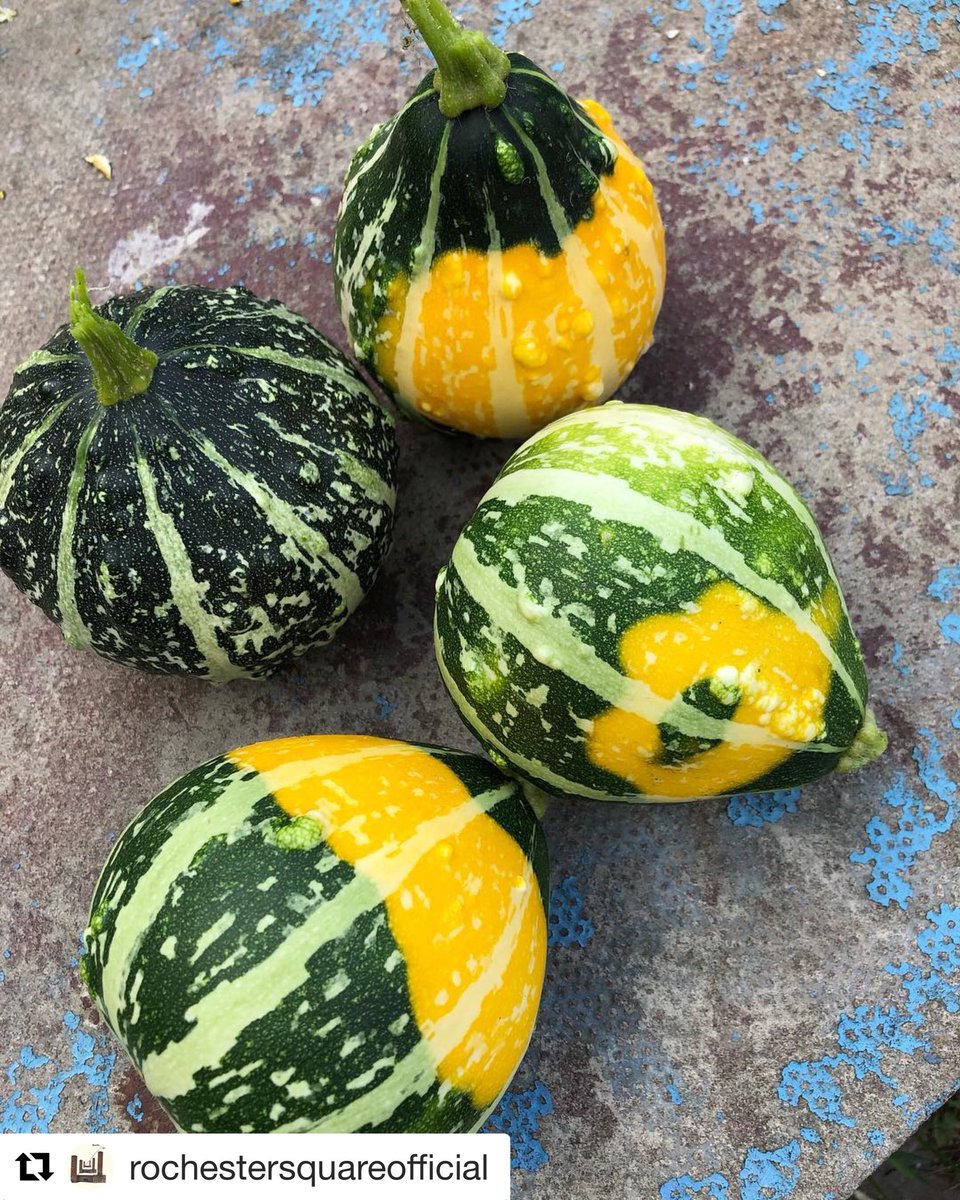 R_SquareCamden's tweet image. Harvest is over:  Nice balls @Open_plot!