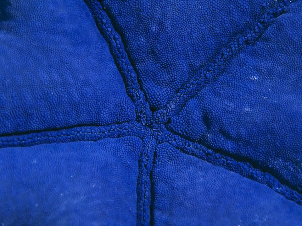 INTERNET_GOD_'s tweet image. FilipeSaMoura.com

#SunKuWriter 
SunKuWriter.com

4 Free Books 27 lang. Audio/Text/PDF

FilipeMoura.com #SunKuWriter

The Word World Warrior - Sun-Ku.com

facebook.com/SunKuWriter



instagram.com/SunKuWriter