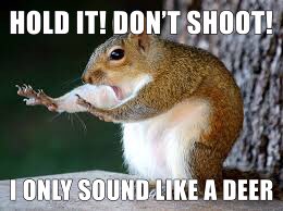 tacklehack's tweet photo. Deer hunting problems. 🦌😂 #deer #deerhunting #deerseason #hunting #tacklehack https://t.co/efkAJYISLQ