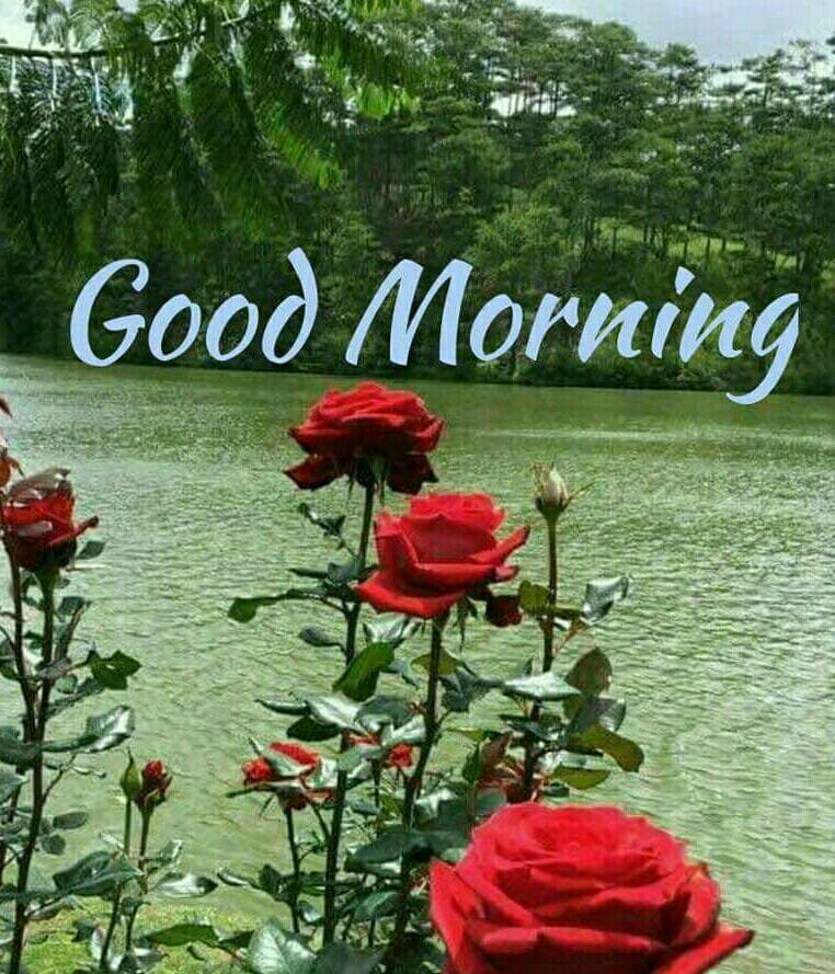 DsRaj34377499's tweet photo. @imSoniya0 @Mj16111980 @Mj16119800 @DDevilav08 @fri55534410 @naughtyishika22 @Nishwesome @ssakshii_diva @Sunainamshra25 @IamSavitaSharma @imqueenarti @AapkiAnu @EroticRuchika @IDevsena @SheetalBhabhi @GharwalAnkita @cuttieshru @urs_cute_ruby @GAROTAS111 @Im_TheBadMan @1UpViral @madhurima011 @0neKN @1UpLeg @NiishLove @sexynavel @WillVarloff https://t.co/ZqyndwiwMf