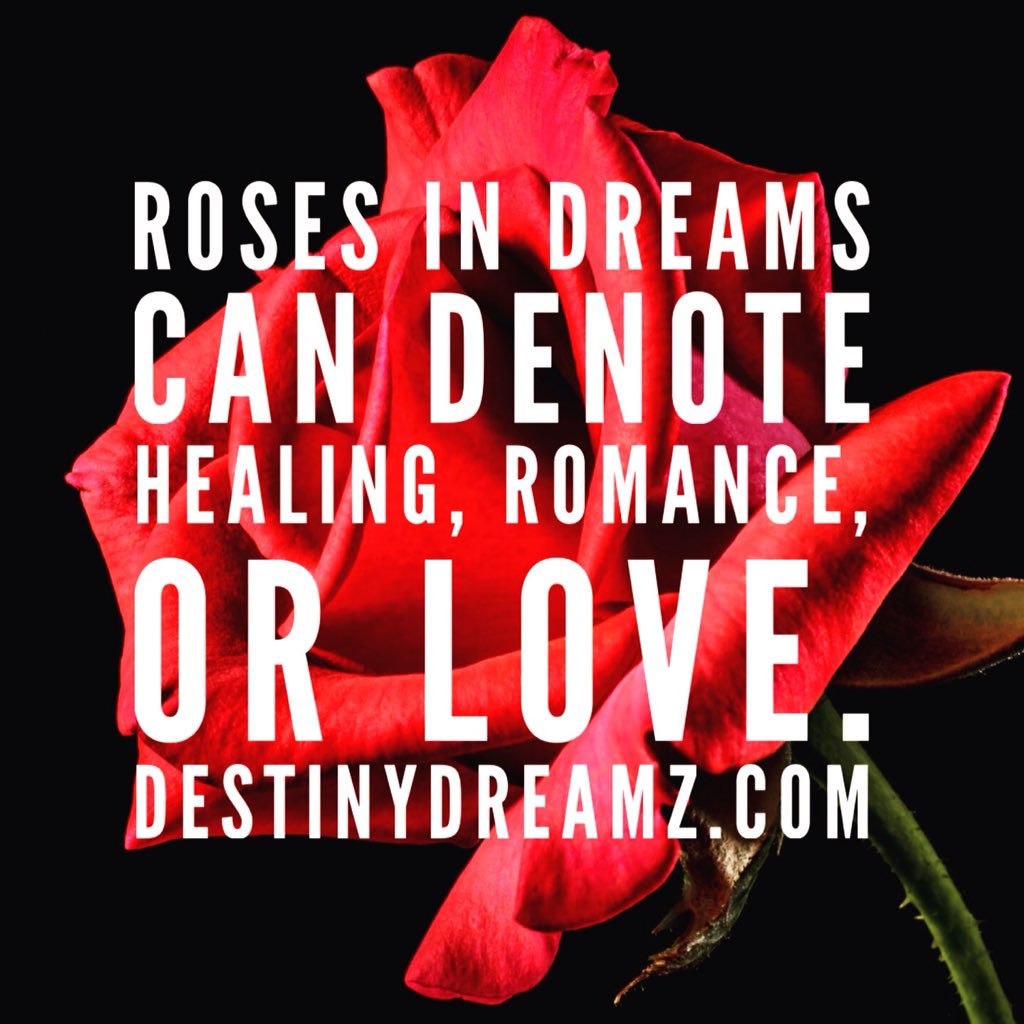 DestinyDreamZ's tweet photo. Roses in dreams...
https://t.co/AbM5Jd69E3
.
.
.
#destinydreamz #Destiny #DREAMS #DREAMER #dreaminterpretation #DreamTeam #HealingTheSoul  #Romance #LoveWins #roses #ROSE #Healing #Fontana #Wisconsin #Illinois #Chicago #Milwaukee https://t.co/VLbNORM3AT