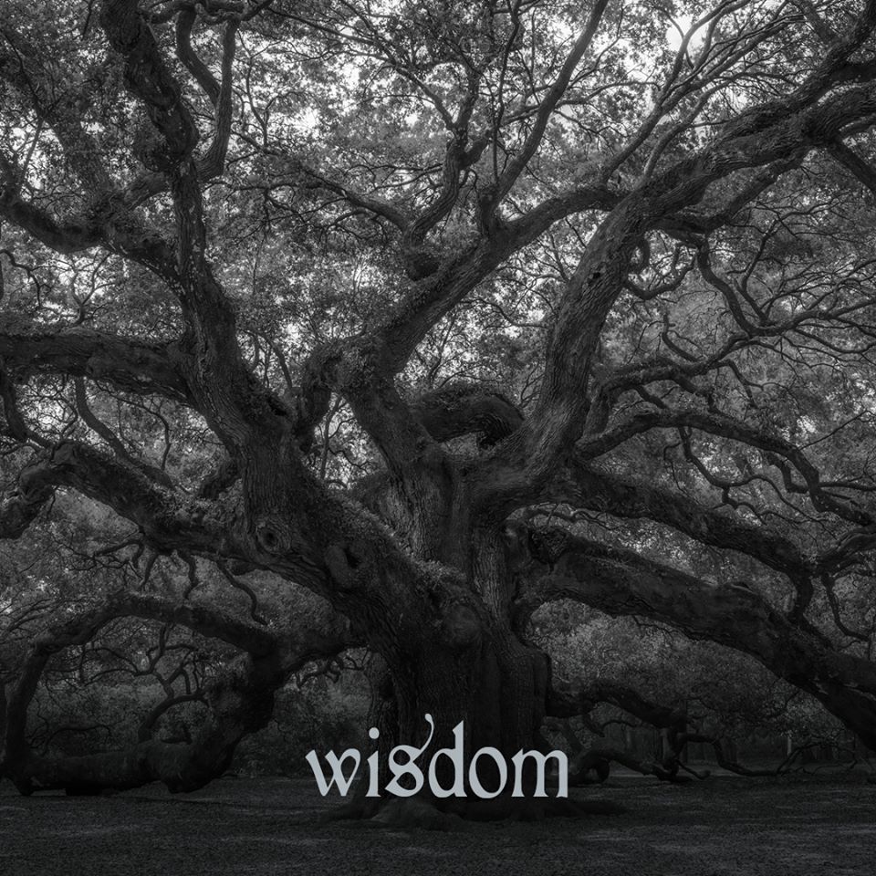CHMASTERUMC's tweet photo. Who around you demonstrates godly wisdom? https://t.co/H9H5b3PzWm