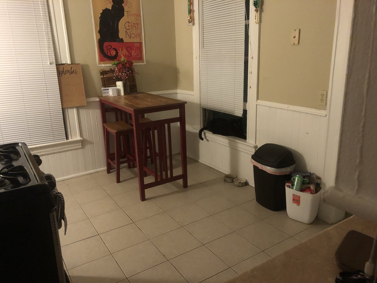 ToothlessThaCat's tweet photo. It’s like Where’s Waldo — except you have to find the feline. #Meow #YoullWinNothing https://t.co/2fgxgyBhpL