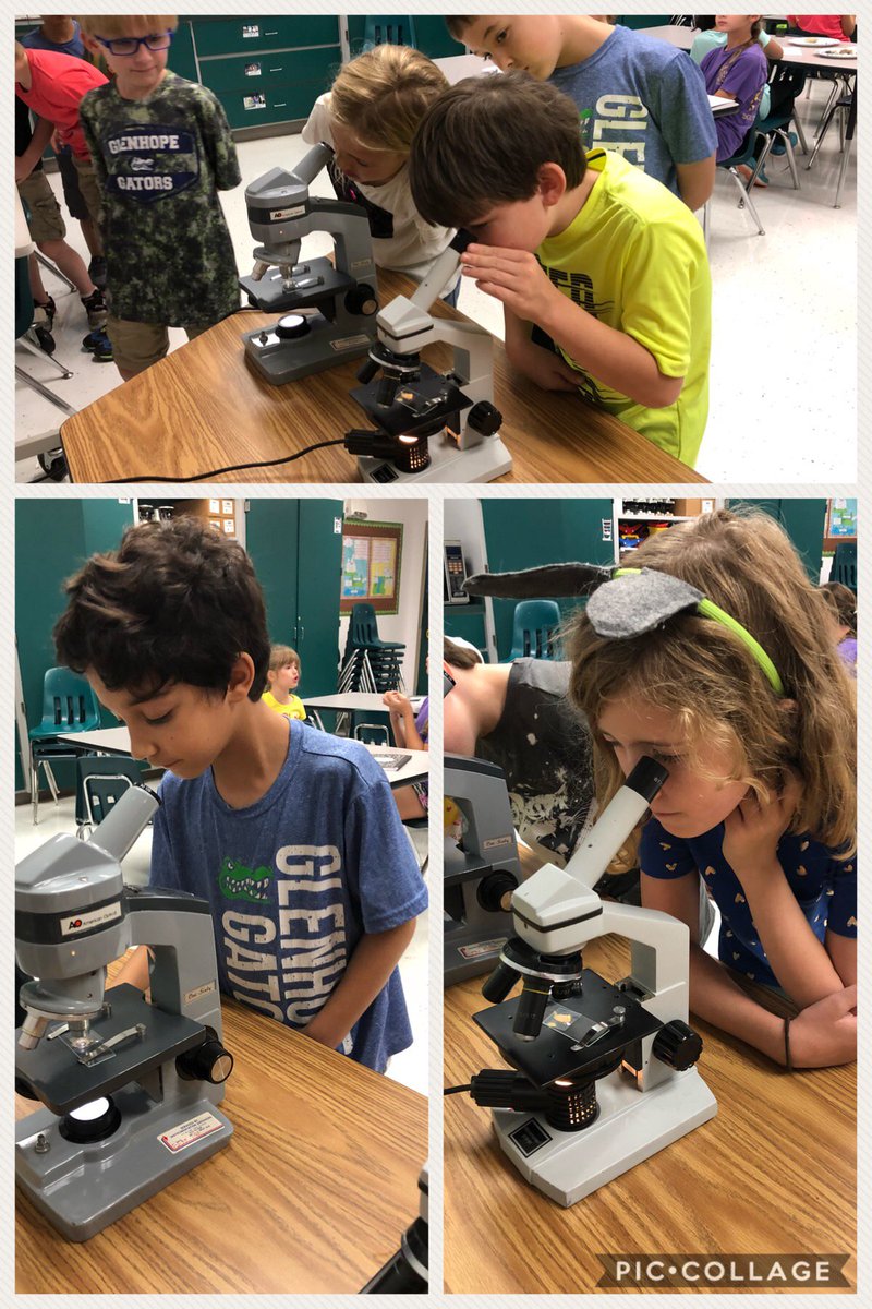 Science is so much more fun when you can observe part of your experiment under the microscope! #gcisdaspire #gcisdvalor <a href="/GHESGators/">Glenhope Elementary</a>