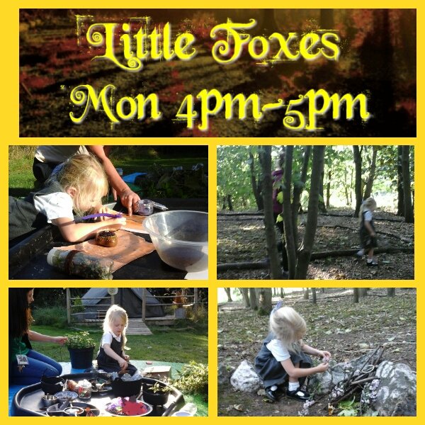Little Foxes enjoyed the Autumnal sunshine exploring the woodlands at #ecoskegness after school. Places available for next week - contact Tracy on 07544 177 737 to book
#ecoskegness #lovelifeinthewoods #biglotteryfund