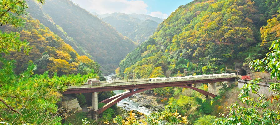 One of the most beautiful stations in Japan is the Hozukyō (保津峡駅) near Kyoto, located on the bridge over the river Hozu. Opened in 1929 it sees on average 438 users a day, most of them hikers, tourists, rafters. Still almost twice as busy as the least used NYC subway station.