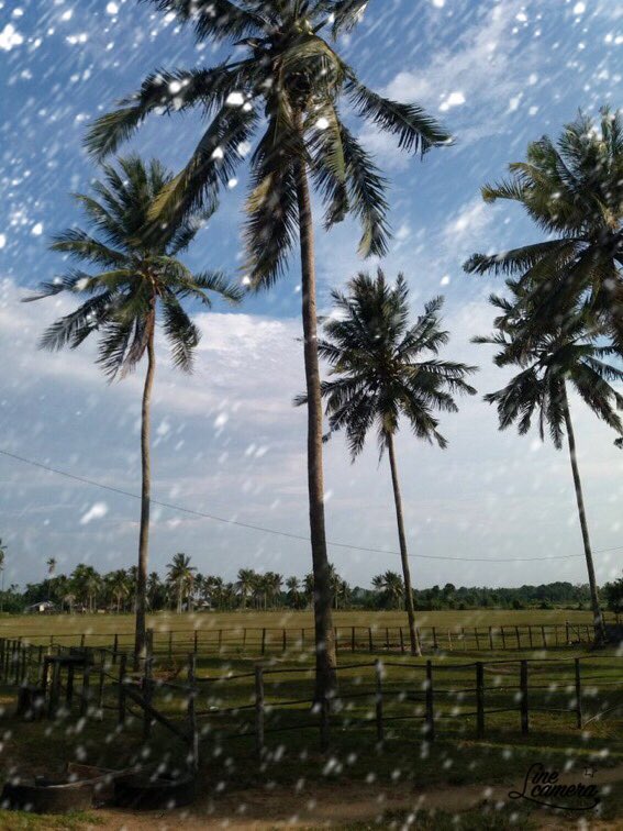 encah_uda's tweet photo. @WahyuYordan Snow https://t.co/A8ucBeSFXR