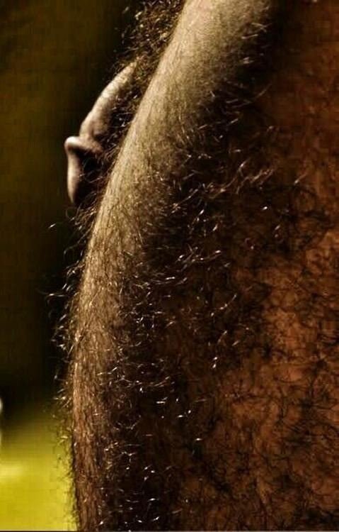 hooha456's tweet photo. เเนวขนๆ ขนเก่งงงงง #เกย์ #หมอนวดชาย #หมอย #ขนหมออ้อย https://t.co/eXApoB9mhh