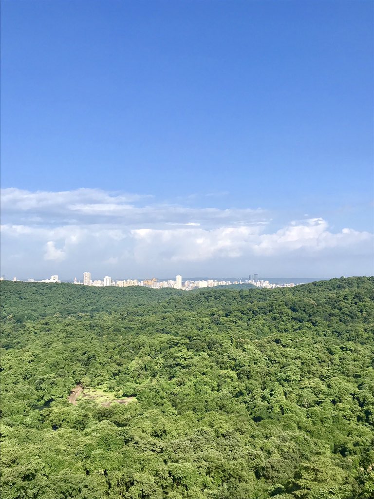 To me Mumbai’s skyline looks best when viewed from #SanjayGandhiNationalPark