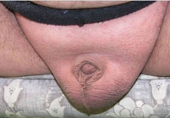 Id just like to apologise to ta RORTERS fan who ACCIDENTALLY received a photo of me massive pommy pecker! #NRLroosterssouths #samburgess #NRL #Burgess #Souths #Roosters