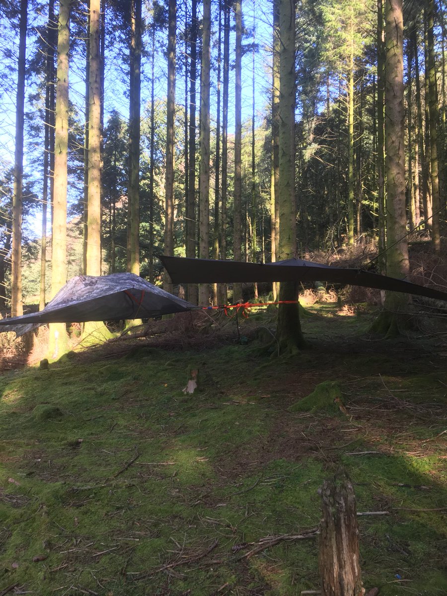 wildcampingint's tweet image. #wildcamping in #Wales in our #treetent 😀