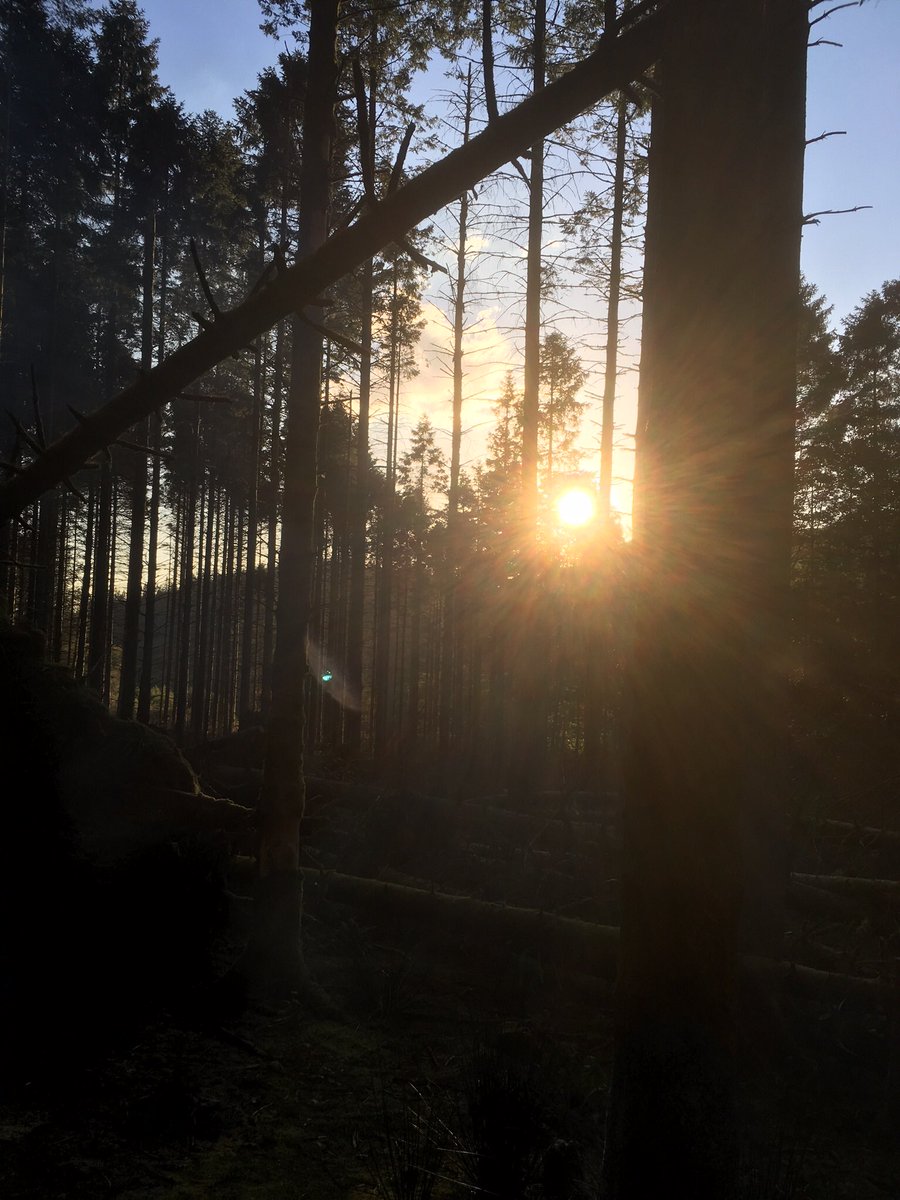 wildcampingint's tweet image. #wildcamping in #Wales in our #treetent 😀