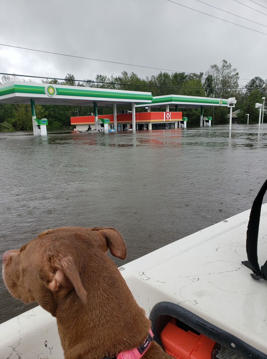 wildcardmma's tweet image. This is right down the street from my parents house the hurricane put a hurting on my hometown Jacksonville NC. I never seen flooding this bad.  I been through a good number of hurricanes growing up in NC. this is the worst I have seen, stay strong Carolina I fight for you.