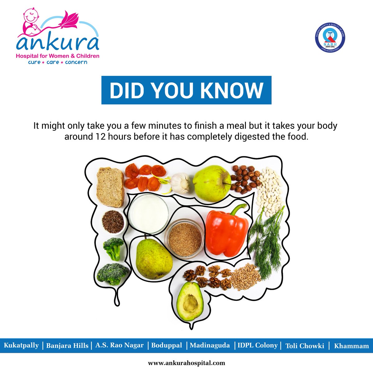 ankurahospitals's tweet image. Did You Know?
It might only take you a few minutes to finish a #meal but it takes your #body around 12 hours before it has completely #digested the food.
#HealthFacts #DidYouKnow #RedDloodCells