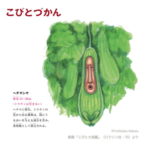 こびとづかん公式 15周年 １日１コビト紹介 ヘチマンマ 今日は正岡子規の忌日で絶筆の句から 糸瓜忌 と呼ばれます 結核を患う子規はヘチマを薬として植え その花を見て詠んだそうです グリーンカーテンで育てている方 ヘチマンマ探しの後は 喉