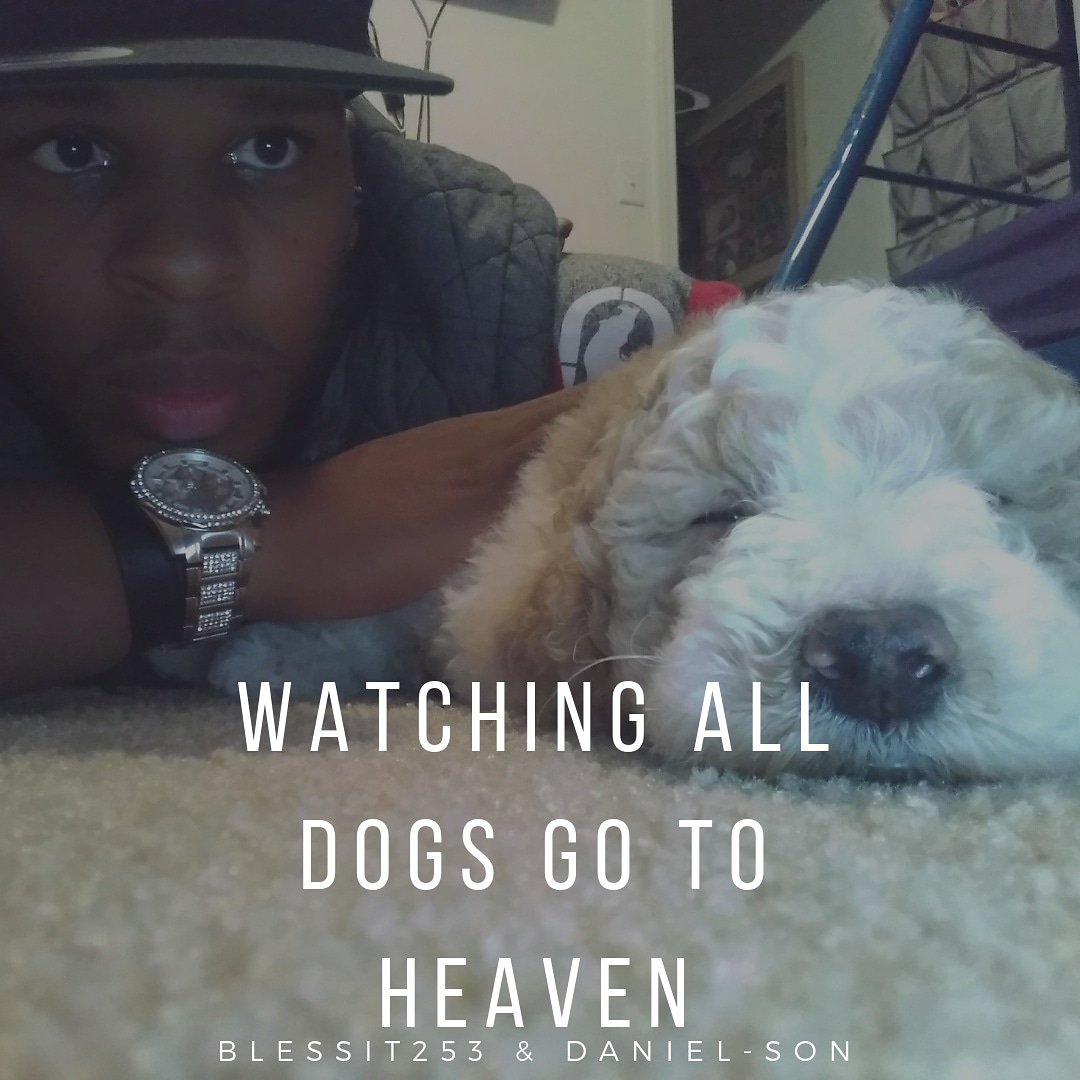 Blessit253's tweet photo. Watching all dogs go to heaven lol. @Blessit253 and Daniel-Son just chilling
.
.
#dog #royalpoodle #royalstandardpoodle #poodle #poodlesofinstagram #poodlepuppy #poodlelove #poodlesofficial #poodlelover #poodle🐩 https://t.co/wIkBfXdWfS