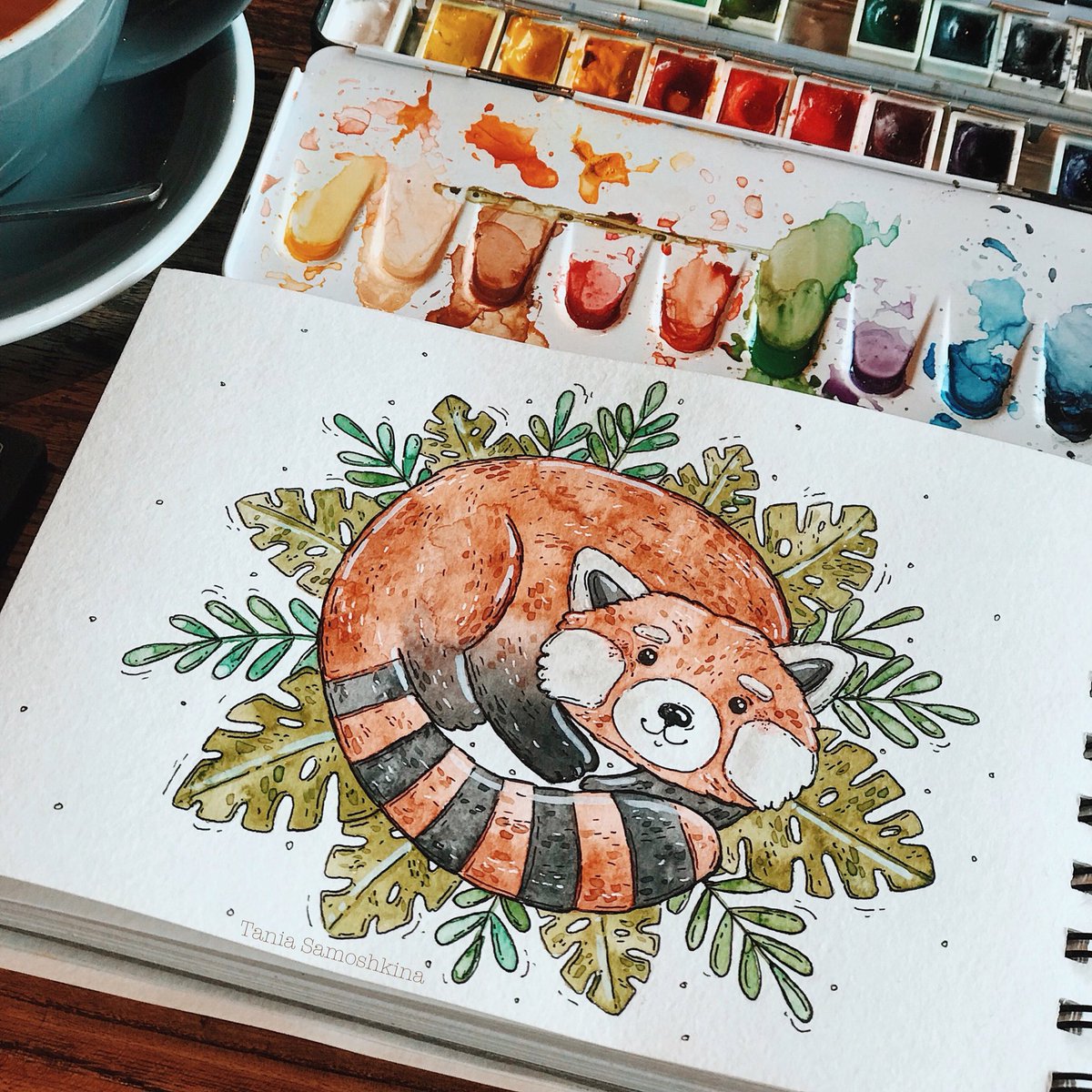 Red Panda everybody✨ #redpanda #illustration #animaldraw #sketchbook #artistontwitter #art #watercolor #drawing